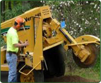 Stump Grinder Stump Grinder