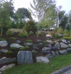 Clean Landscape